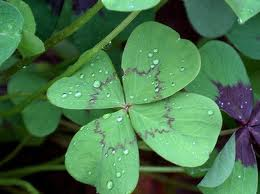 Lucky Or Unlucky