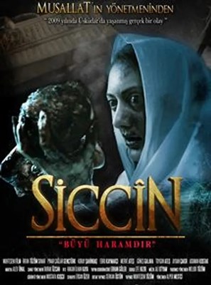 Hangi Siccin Karakterisin?