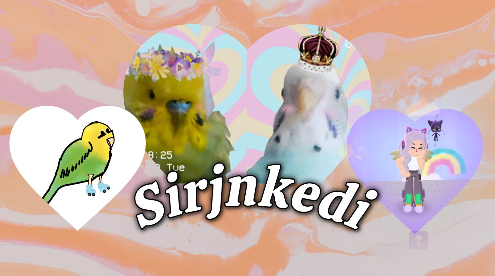 Sirjnkedi'ye ne kadar benziyorsun? 