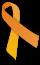 Wear The Orange Ribbon!