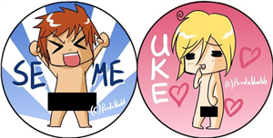 Seme Ou Uke ? 
