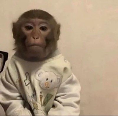 Kamu Nanya