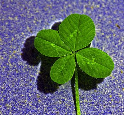 Think Your Lucky?