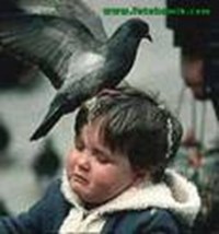 Nasıl Bir Kişiliksin?