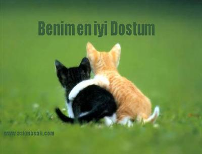Nasıl Bir Dostsun