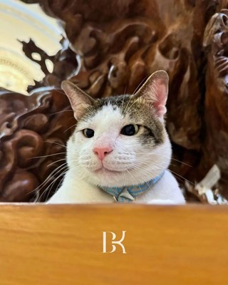 Seberapa imut kamu?
