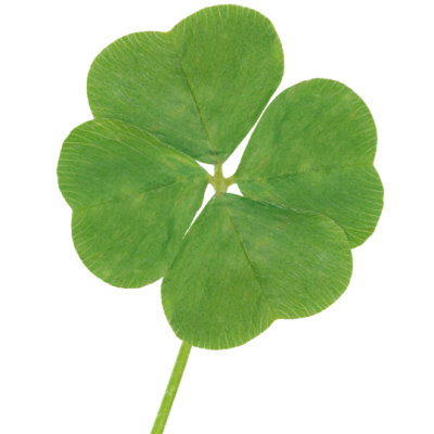 Check Your Luck