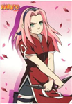 Sakura Nebo Ino???!!!