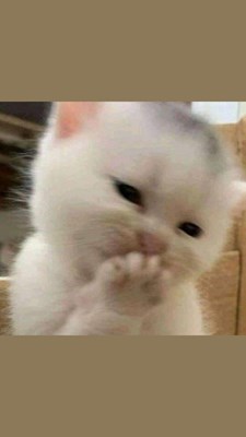 SEBERAPA TAU KAMU TENTANG PRINCESS YANG IMUT INI?!!