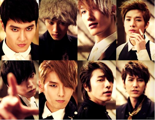 Member Suju Yang Cocok Untukmu