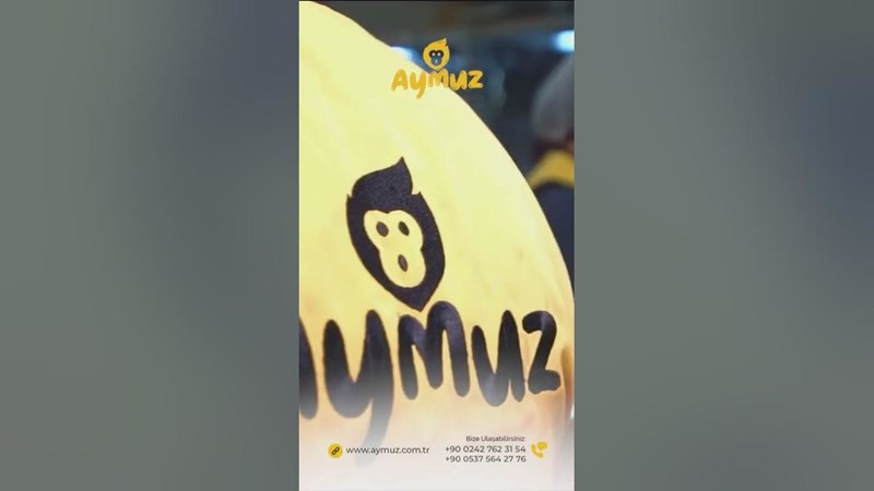 Muz 
