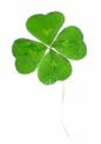 Yo Luck