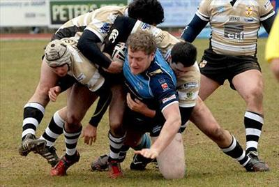 Which York Knights Player Are You?
