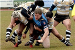 Which York Knights Player Are You?