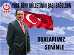 Anket