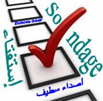 إستفتاء 