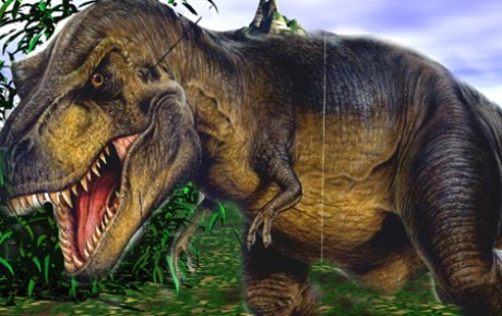 Hangi Dinozorsun