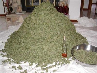 Weed & Hennessy