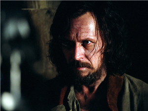 Sirius Black Test