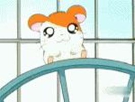 What Hamtaro Charater Are You?