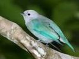Whats Your Luckiest Time Of The Day?