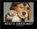 Are You Awesome?
