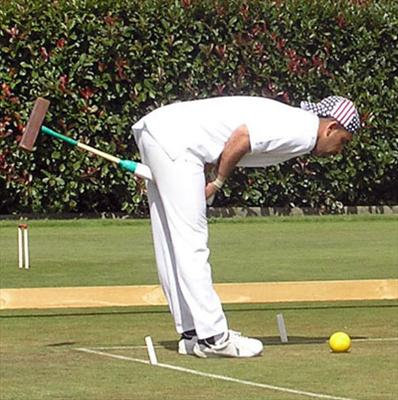 How Good At Croquet Do You Think You Are?