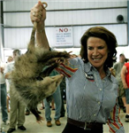 Are You An Awesome Possum?