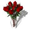 Ramo de rosas rojas!