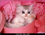 Beatiful