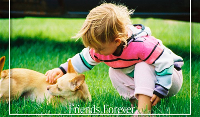 Abrazos