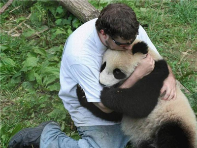 abrazo 
