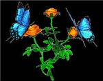 Just4u