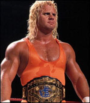 Wwe, World Or Wcw Heavyweight Title