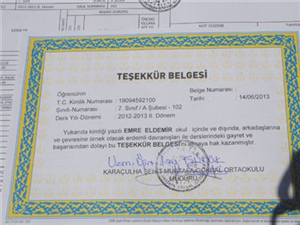 Zeki Misin?