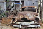 What kind of vehicle are you?