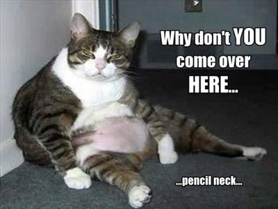 Laziness Or Hyperness