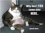 Laziness Or Hyperness