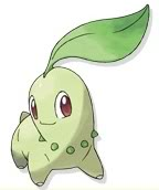 Which Jhoto Starting Pokemon Are You Picking?