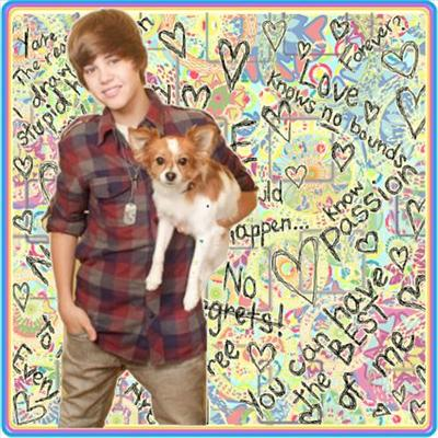 How Much Does Justin Bieber Like U?