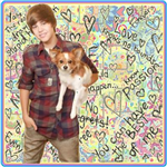 How Much Does Justin Bieber Like U?