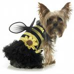 The Posh Pooch