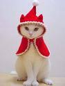Christmas Gifts