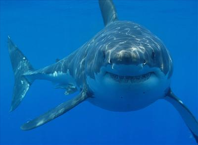 Eaten Alive.
