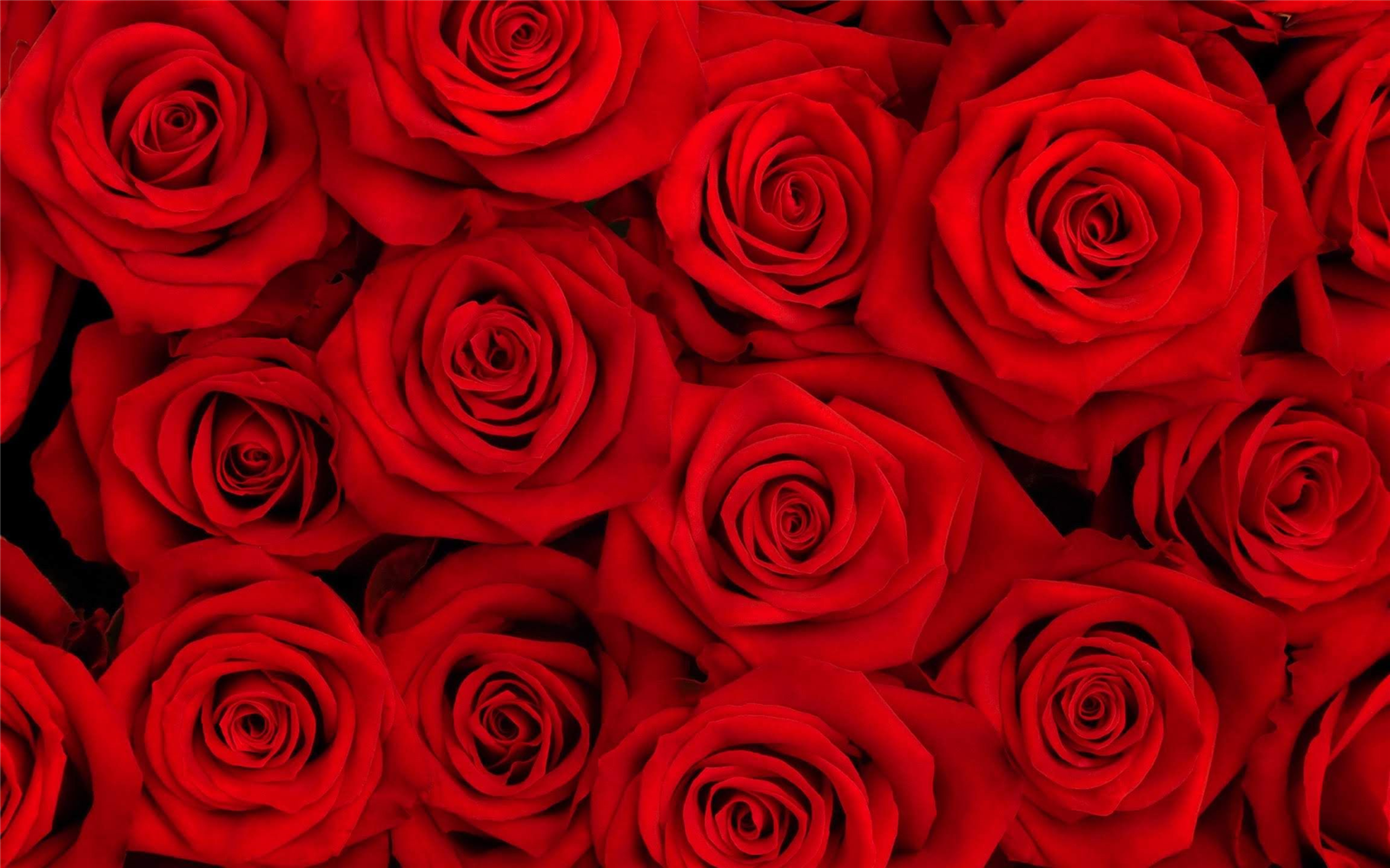 Quel Perso Rouge T'aime ?