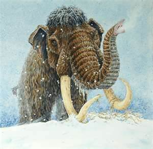 What Extint Animal Are You?!