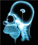 Test Your Brain Size