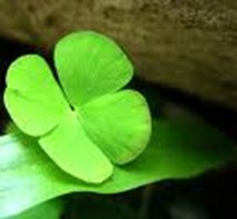 Lucky Or Unlucky