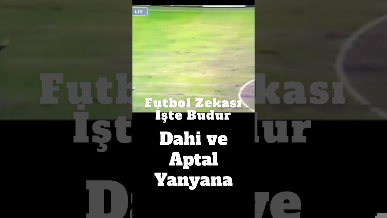 Dahi Misin? Aptal Mı?-Test