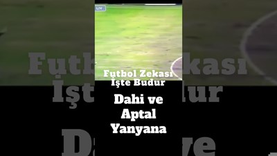 Dahi Misin? Aptal Mı?-Test